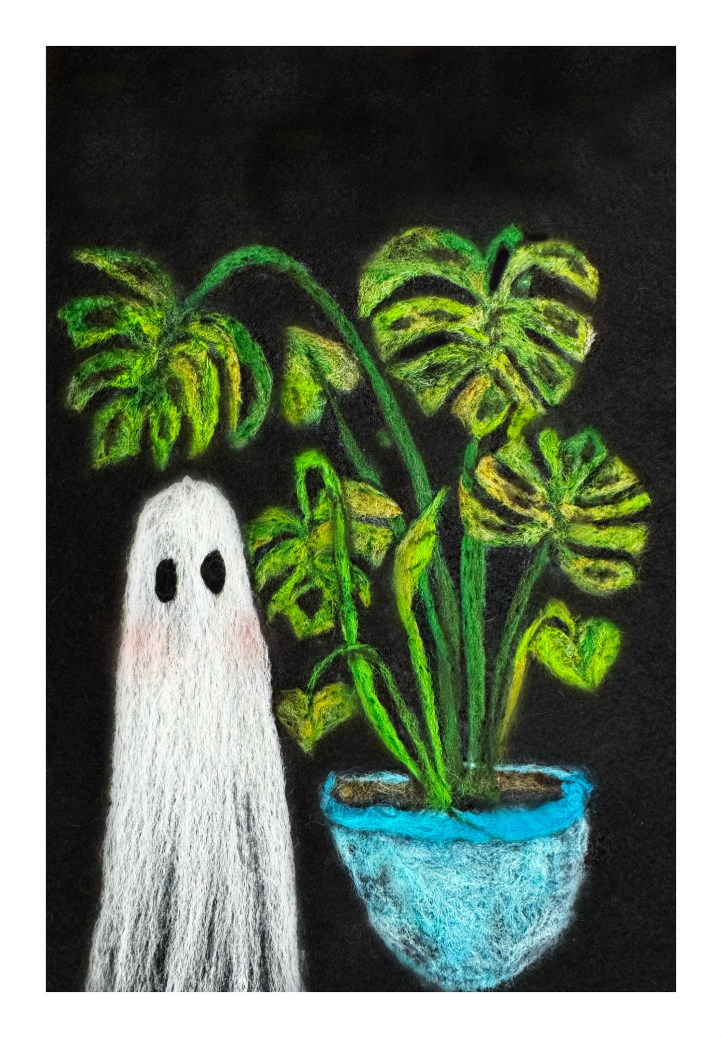 Molly Monstera