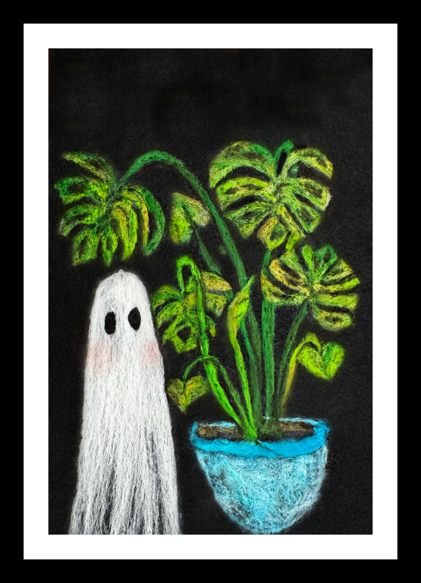 Molly Monstera